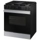 Samsung Bespoke 30 inch Range (NSG6DG8300SRAA)