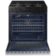 Samsung Bespoke 30 inch Range (NSG6DG8700SRAA)