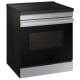 Samsung NSI6DG9100SRAC 30 inch Range