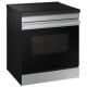 Samsung NSI6DG9300SRAC 30 inch Range