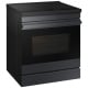 Samsung Bespoke 30 inch Range (NSI6DG9500MTAC)