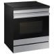 Samsung NSI6DG9500SRAC 30 inch Range