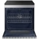 Samsung Bespoke 30 inch Range (NSI6DG9900SRAC)