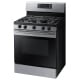 Samsung NX58M3310SS 30 inch Gas Range