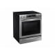 Samsung Chef Collection 30 inch Range (NE58H9970WS)