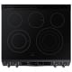 Samsung 30 inch Electric Range (NE63T8751SG)