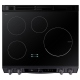 Samsung 30 inch Induction Range (NE63T8911SG)