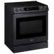 Samsung 30 inch Range (NE63T8911SG)