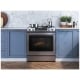 Samsung NE63T8911SS 30 inch Range
