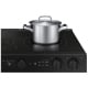 Samsung Bespoke NSE6DG8500MTAC 30 inch Electric Range