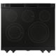 Samsung NSE6DG8700SRAC