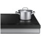 Samsung NSI6DG9100SRAC Induction Range