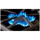 Thermador 60 inch Dual Fuel Range (PRD606RCG)