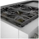 Thermador PRD606WEG Dual Fuel Range