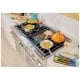 Thermador PRG304GH Gas Range
