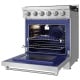 Thor Kitchen RSG30P Gas Range