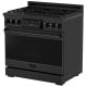Thor Kitchen Gordon Ramsay RSG36B 36 inch Range