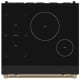 Thor Kitchen 30 inch Induction Range (RSI30B-BRZ)
