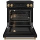 Thor Kitchen 30 inch Black Induction Range (RSI30B-BRZ)