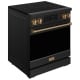 Thor Kitchen 30 inch Range (RSI30B-BRZ)