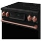 Thor Kitchen RSI30B-RSG 30 inch Induction Range