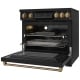 Thor Kitchen RSI36B-BRZ Induction Range