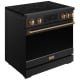 Thor Kitchen 36 inch Range (RSI36B-BRZ)