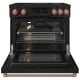 Thor Kitchen 36 inch Black Induction Range (RSI36B-RSG)