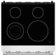 Thor Kitchen 30 inch Electric Range (SRE3001)