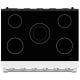 Thor Kitchen SRE3601