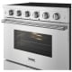Thor Kitchen SRE3601
