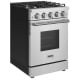 Thor Kitchen 24 inch Range (SRG2401)