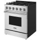 Thor Kitchen 30 inch Range (SRG3001)