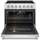Thor Kitchen 36 inch Stainless Steel Gas Range (SRG3601)