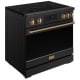 Thor Kitchen RSI36B-BRZ
