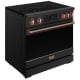 Thor Kitchen RSI36B-RSG