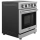Thor Kitchen 30 inch Stainless Steel Electric Range (ARE30)