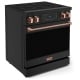 Thor Kitchen RSE30B-RSG