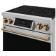 Thor Kitchen RSE30-BRZ