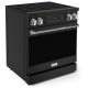 Thor Kitchen RSE30B-SS