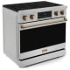 Thor Kitchen RSE36-BRZ
