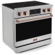 Thor Kitchen RSE36-RSG