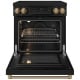 Thor Kitchen RSI30B-BRZ
