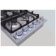 Thor Kitchen TGC3601