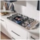 Thor Kitchen TGC3601