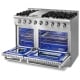 Thor Kitchen 48 inch Stainless Steel Gas Range (HRG4808ULP)