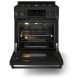 Thor Kitchen RSG30B