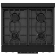 Thor Kitchen RSG30BLP