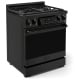 Thor Kitchen RSG30BLP