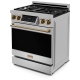 Thor Kitchen RSG30-BRZ